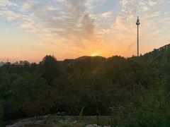 -府君山公园