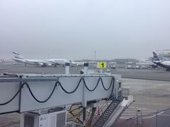 -约翰·菲茨杰拉德·肯尼迪国际机场