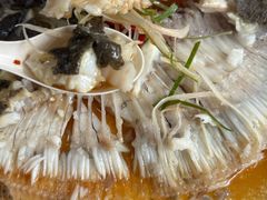 -坛南湾阿强农家乐.海鲜大排档老字号(福州地标美食店)