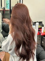 -IP SALON