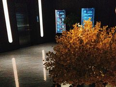 -泰之源足浴会所(玉环店)
