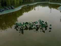 -郑州方特梦幻王国