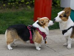 -家味螺蛳粉&烤鱼(五角场店)