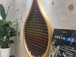 -dōTERRA多特瑞精油生活馆