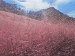 -昆嵛山石门里景区