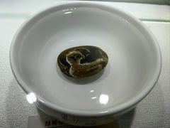 -仪征博物馆
