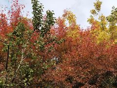 -长春市南湖公园