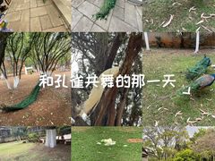 -昆明动物园