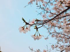 -湖北中医药大学(昙华林校区)
