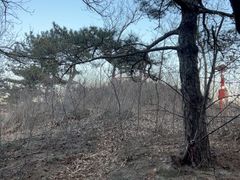 -北京鹫峰国家森林公园