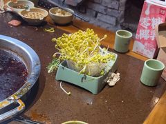 -巴倒烫陆派火锅山庄(南山总店)