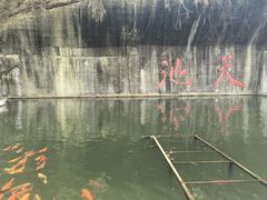 -千岛湖东南湖区