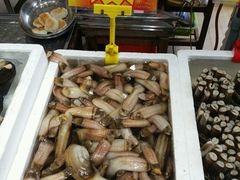 小象拔蚌-蚝专家(北滘店)