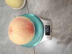 -老袁家蜜桃农场·阳山水蜜桃