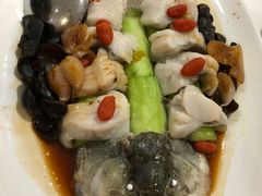 三宝鲈鱼-小桃源酒家(罗湖商业城店)