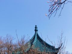 -无锡梅园公园