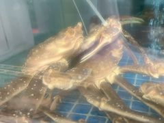 -碗中海·蒸汽海鲜·桑拿鸡(岭南天地店)