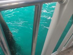 -三亚西岛海洋文化旅游区