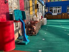 -幸福泉幼儿园(秋实东街)