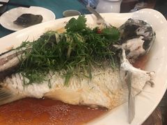 清蒸山坑鲩鱼-御膳粥·牛乳粥底火锅·地道顺德菜(容桂店)