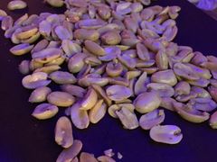 花生米-蜉蝣酒吧(仓山万达店)