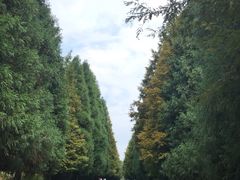 -山王坪喀斯特国家生态公园