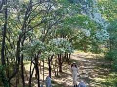 -国家植物园南园