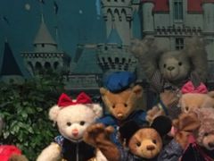 -济州岛泰迪熊博物馆