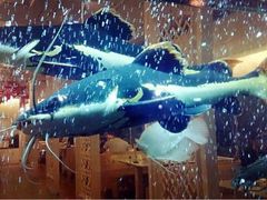 大堂鱼缸-衡山汇·高级粤菜(霄云路店)