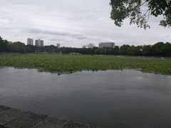 -建水文庙