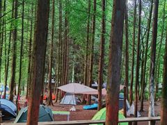 -武陵山森林公园