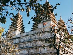-北京石刻艺术博物馆(五塔寺)