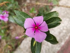 -桤木河湿地公园