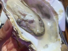 刺身乳山生蚝-蚝堡海鲜·威海菜·海肠捞饭·烧烤·亚洲吃蚝公司(幸福门店)