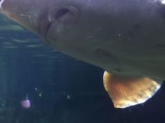 -左海海底世界