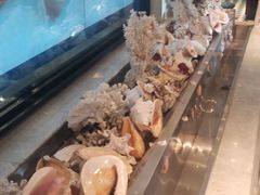 -开海·红岛海鲜虾水饺(石老人店)