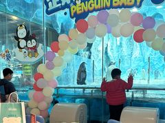 -帝企鹅自助餐厅•儿童岛•真企鹅(长隆企鹅酒店)