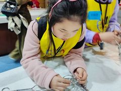 -哈喽实战跆拳道·跳绳·体能(慈云寺馆)