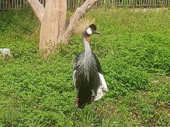 -齐齐哈尔龙沙动植物园