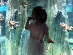 -福州罗源湾海洋世界旅游区