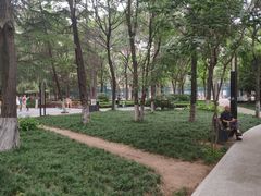 -唐城墙遗址公园