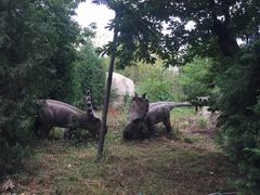 -西安秦岭野生动物园