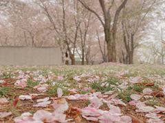 -龙美术馆(西岸馆)
