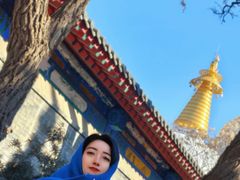 -护国法轮寺