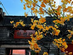 -潭柘寺景区