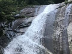 -内乡宝天曼生态旅游区
