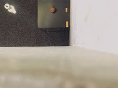 -元白和创园展厅