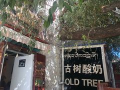 -古树酸奶(八廓南街店)