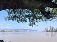-江心屿景区