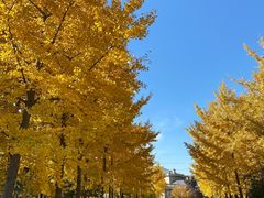 -中家鑫园温泉酒店鑫悦汤泉
